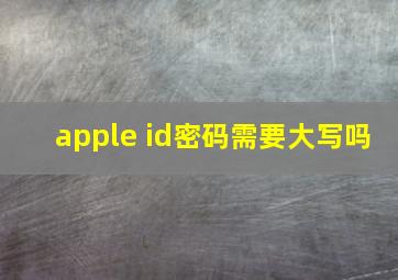 apple id密码需要大写吗